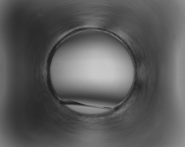 X0000089361077200706291037