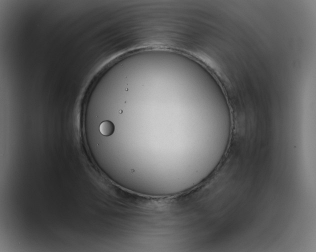 X0000089361078200706291037