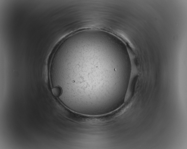 X0000089361079200706291037