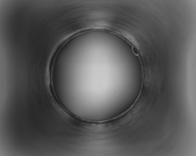 X0000089361080200706291037