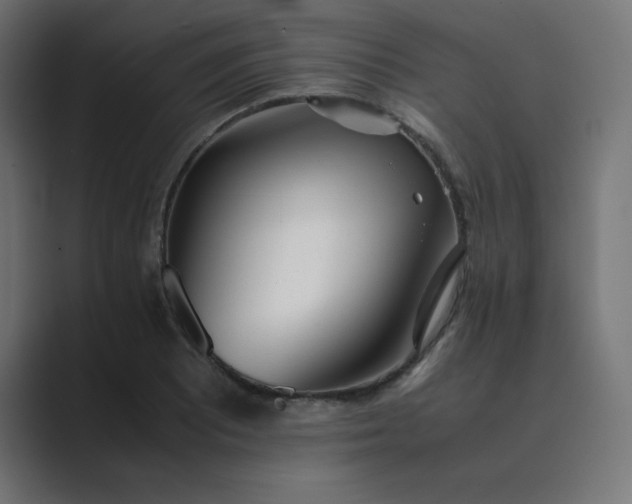 X0000089361081200706291037