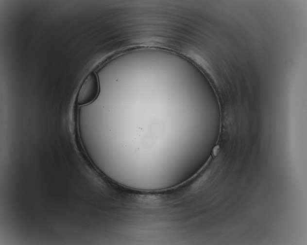 X0000089361082200706291037