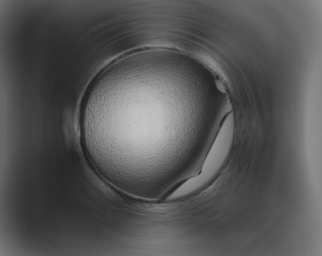 X0000089361084200706291036