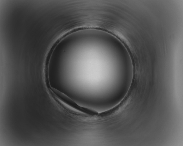 X0000089361085200706291036