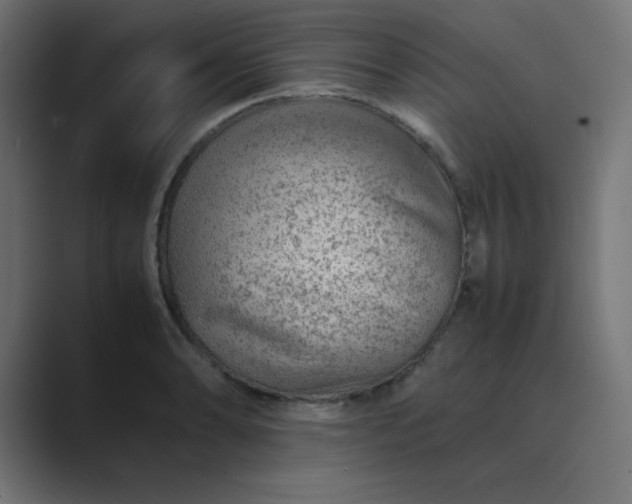 X0000089361086200706291036