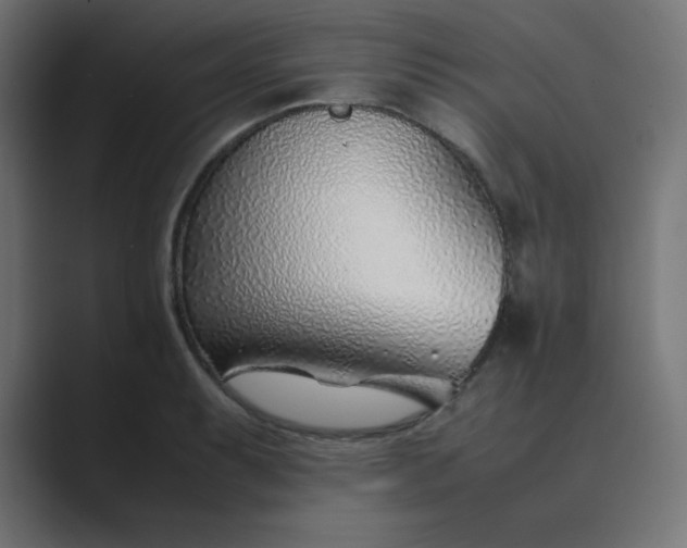 X0000089361087200706291036