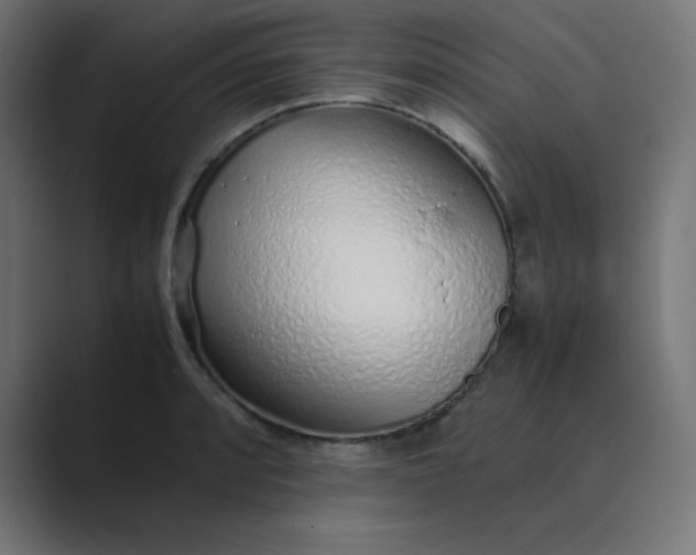 X0000089361088200706291036