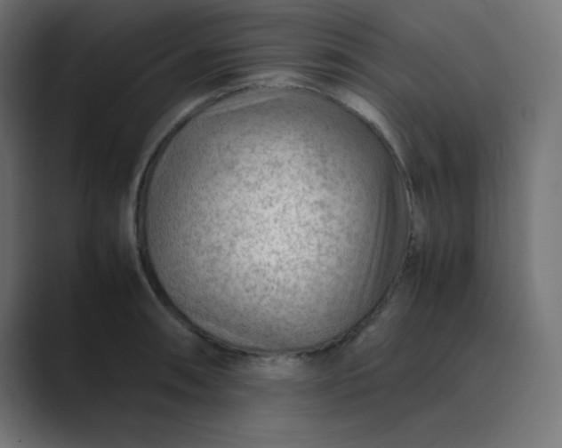 X0000089361090200706291036