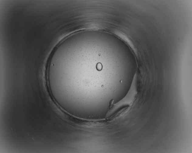 X0000089361091200706291036