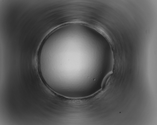 X0000089361092200706291036