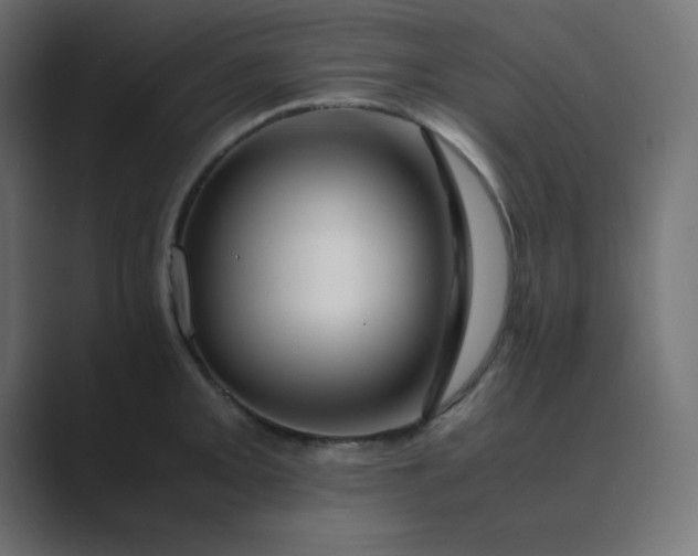 X0000089361093200706291036