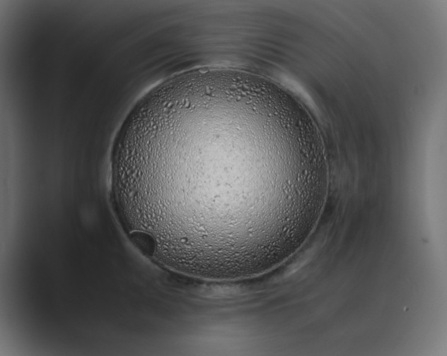 X0000089361095200706291036