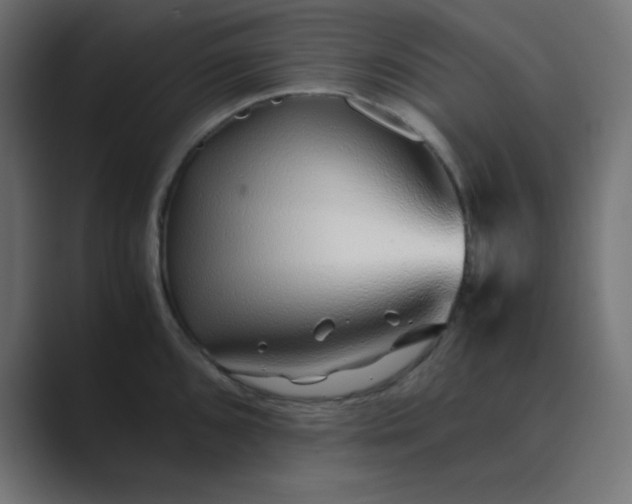 X0000089361096200706291036