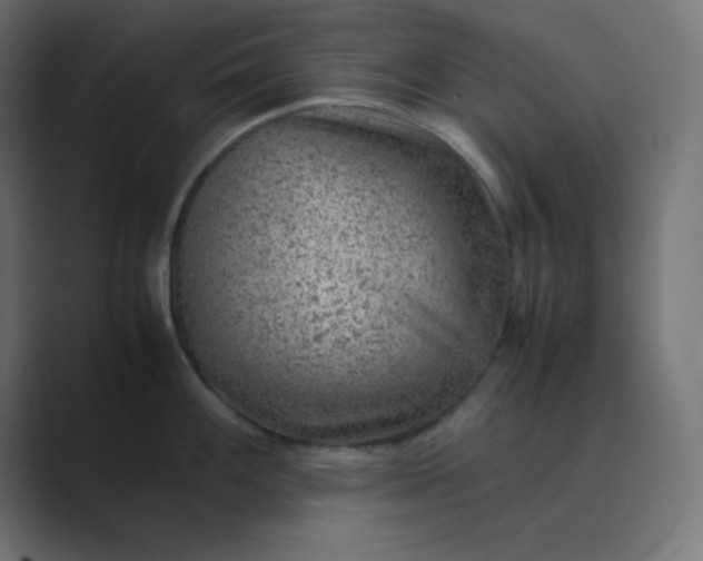 X0000089361100200706291036