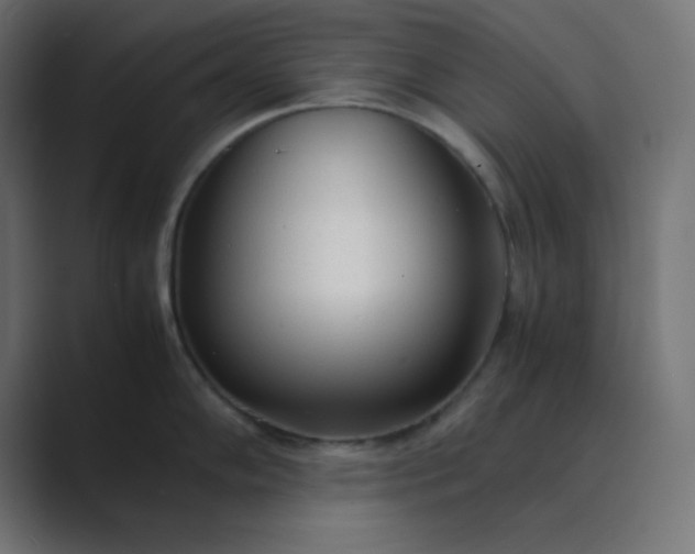 X0000089361102200706291036