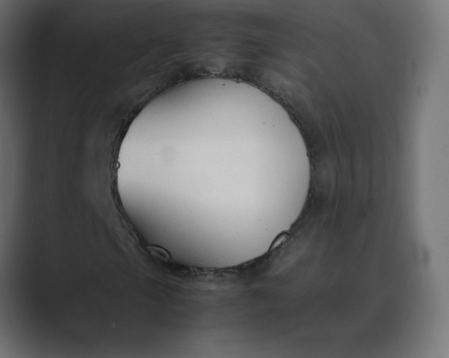 X0000089361105200706291036