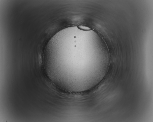 X0000089361106200706291036