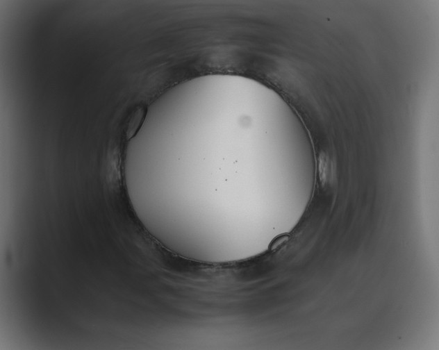 X0000089361107200706291036