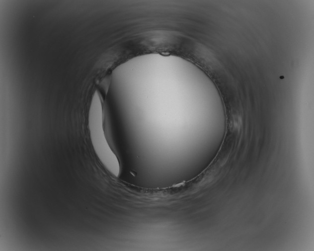 X0000089361108200706291036