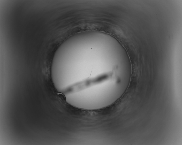 X0000089361109200706291036