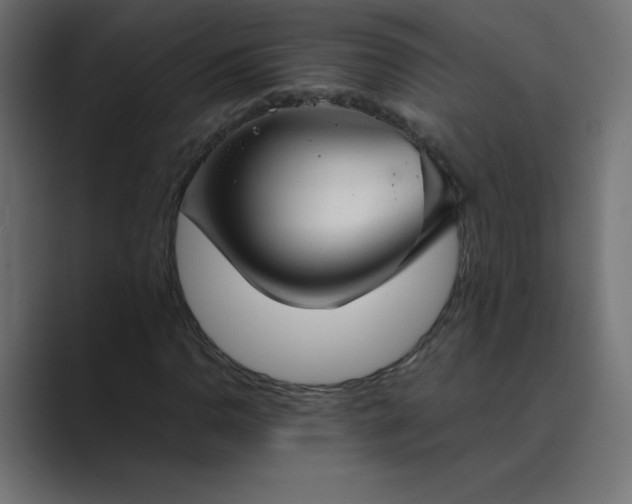 X0000089361110200706291036