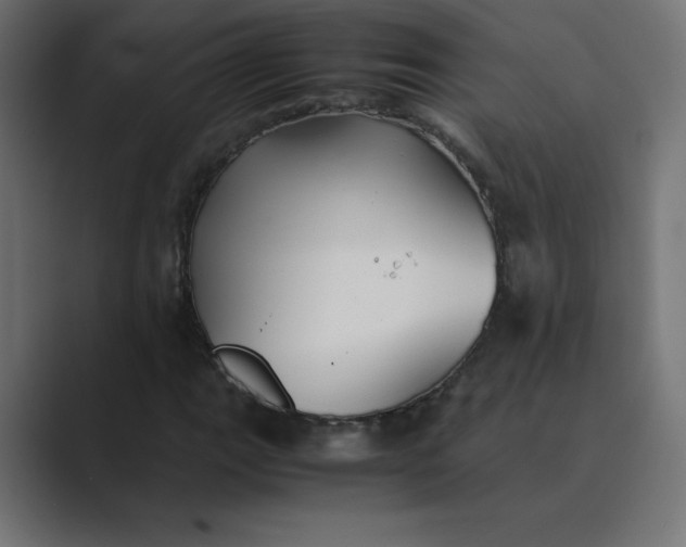 X0000089361111200706291036