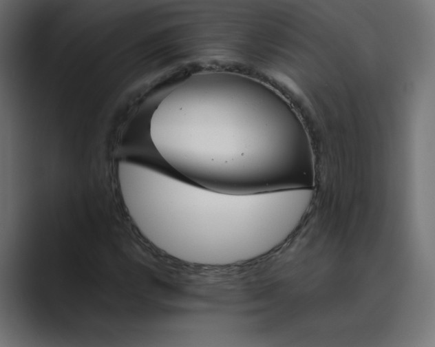 X0000089361112200706291036