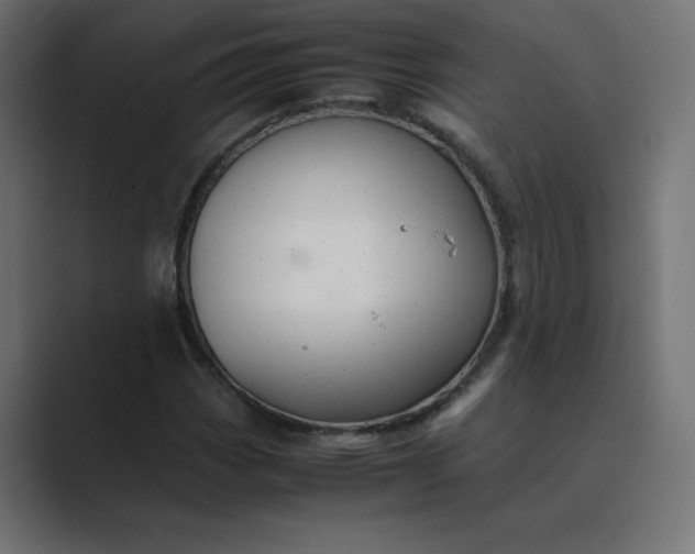 X0000089361113200706291036