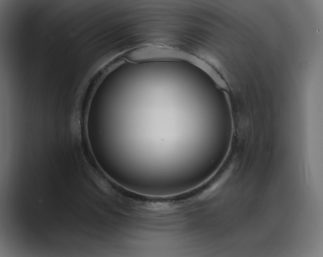 X0000089361114200706291036