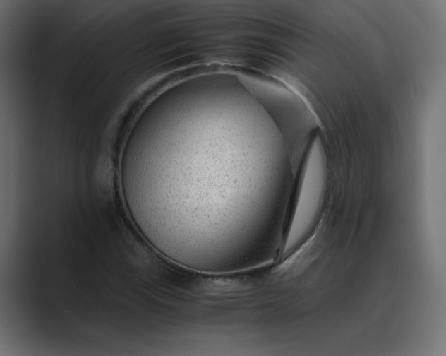 X0000089361115200706291036