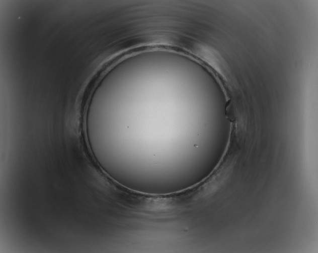 X0000089361116200706291036