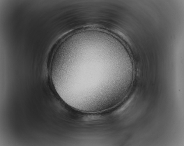 X0000089361117200706291036