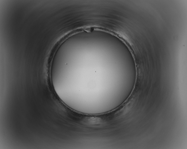 X0000089361119200706291036