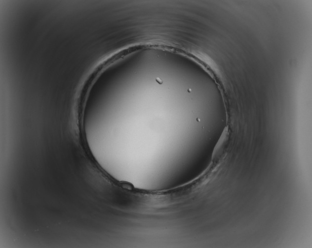 X0000089361120200706291036