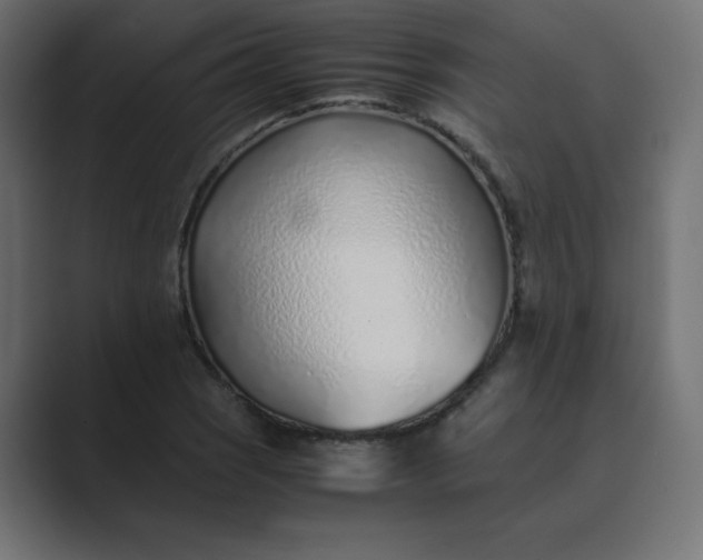 X0000089361121200706291036