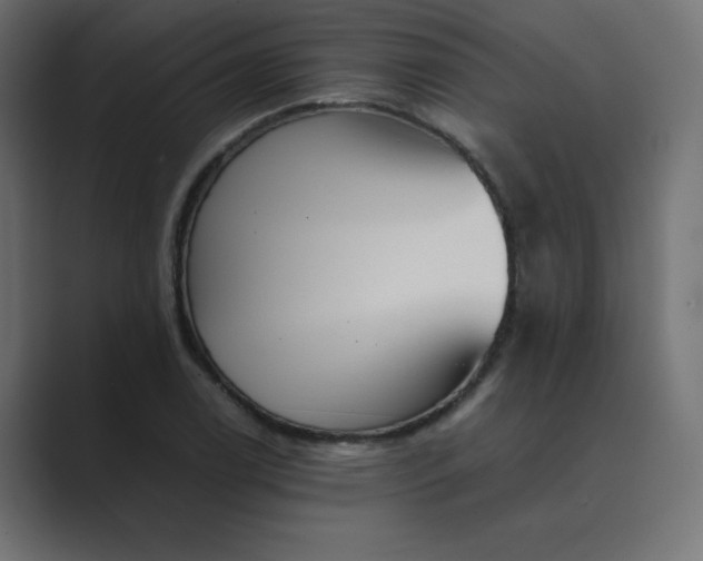 X0000089361122200706291036