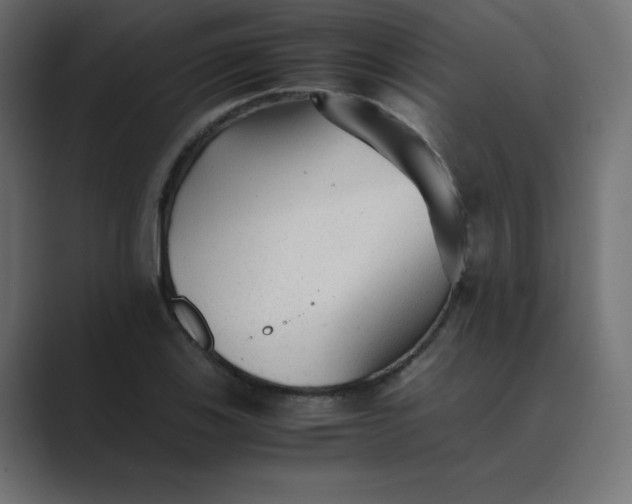 X0000089361123200706291036