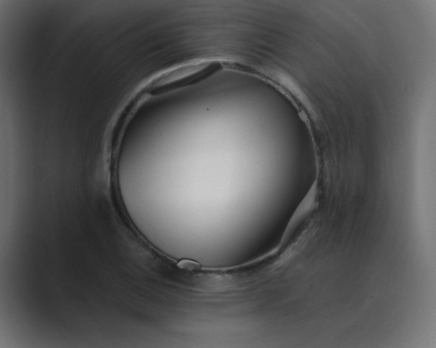 X0000089361124200706291036