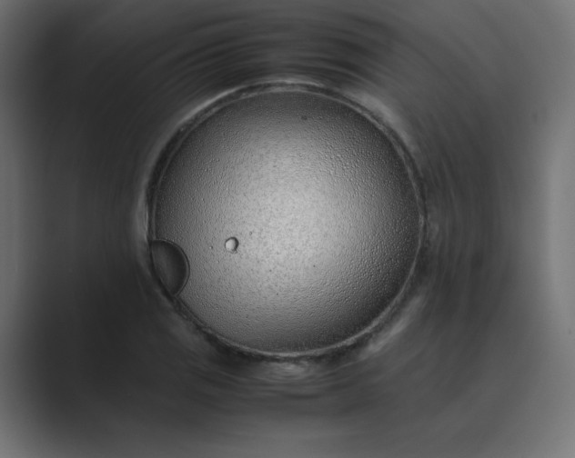 X0000089361125200706291036