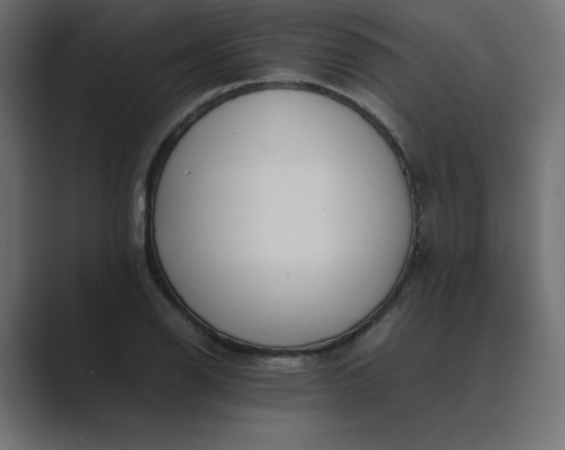 X0000089361126200706291036