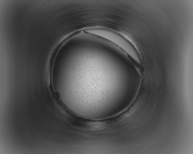 X0000089361127200706291036