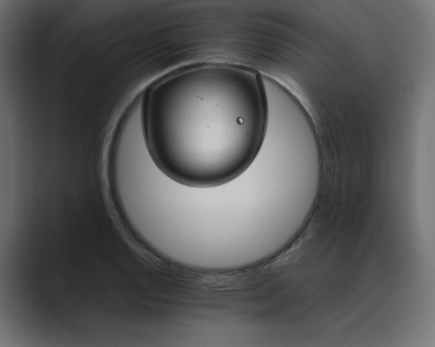 X0000089361128200706291036