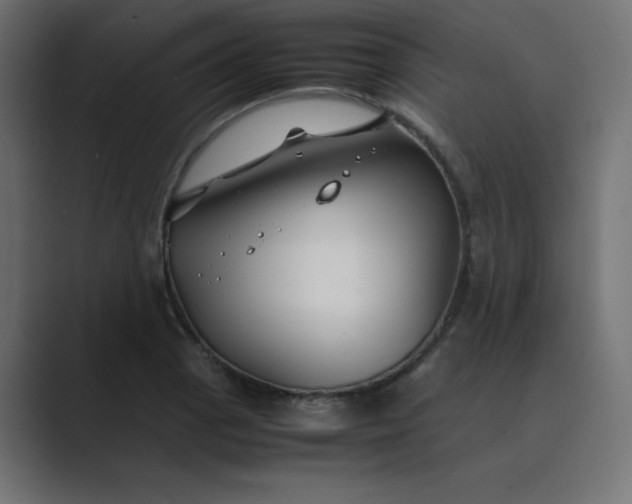 X0000089361129200706291036