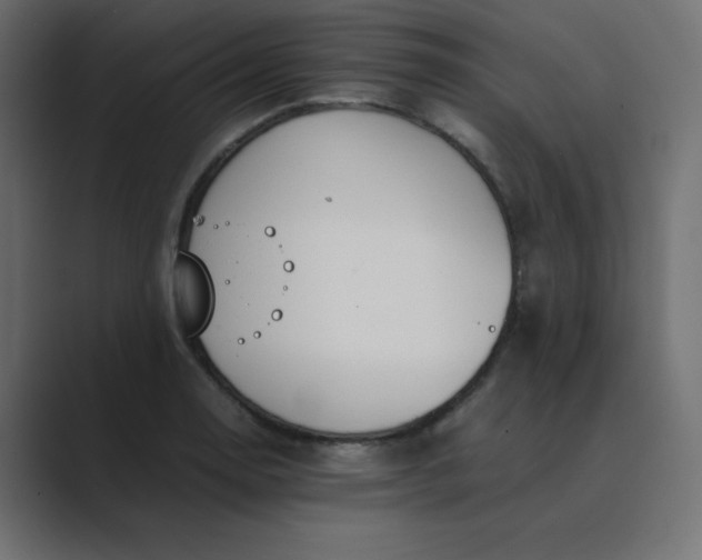 X0000089361130200706291036