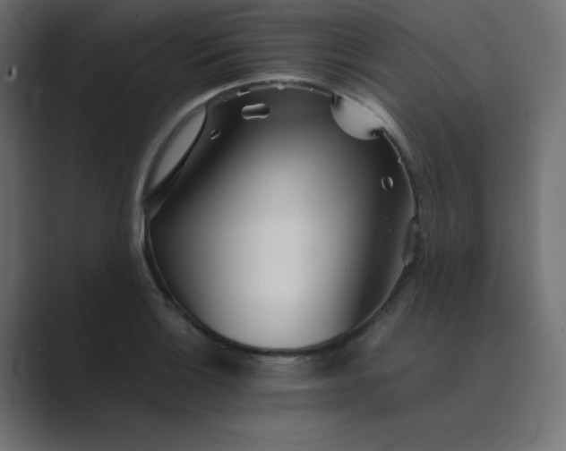 X0000089361132200706291036