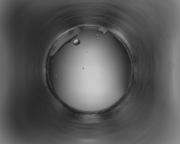 X0000089361133200706291036