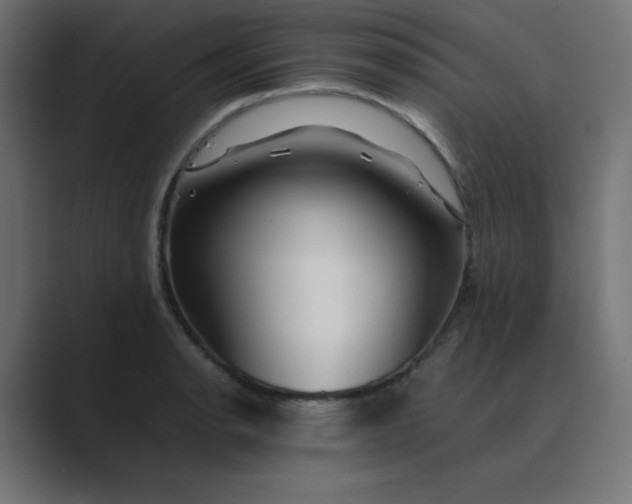 X0000089361134200706291036