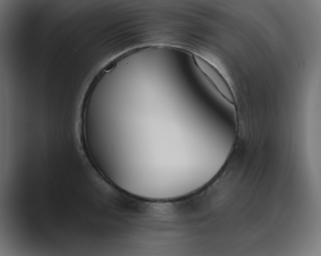 X0000089361136200706291036