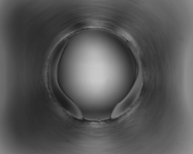 X0000089361138200706291036