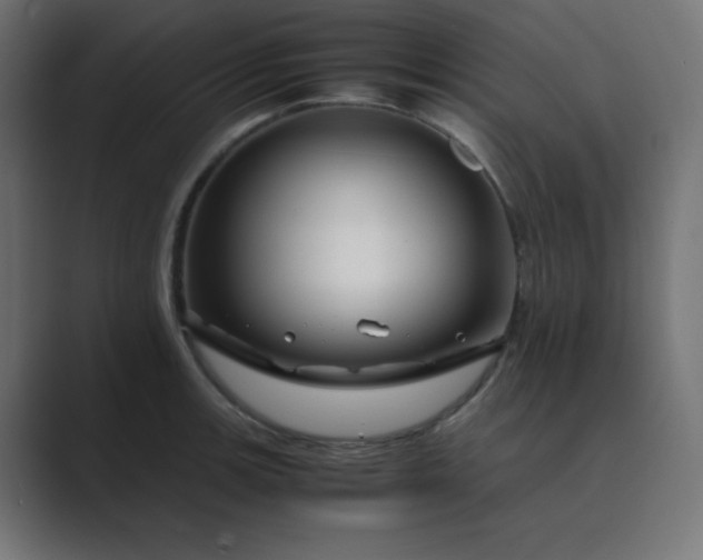 X0000089361139200706291036